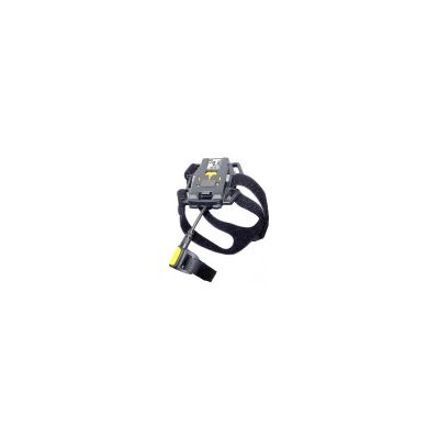 Zebra Back of Hand Mount