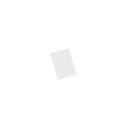 Zebra Displayschutzfolie, MISC-MC93-SCRN-01 - für MDE-Terminals